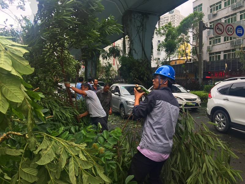 風(fēng)雨無阻，保衛(wèi)家園，我們在行動(dòng)